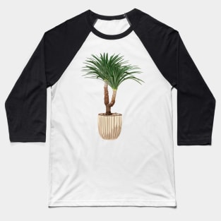 Dracaena plant Baseball T-Shirt